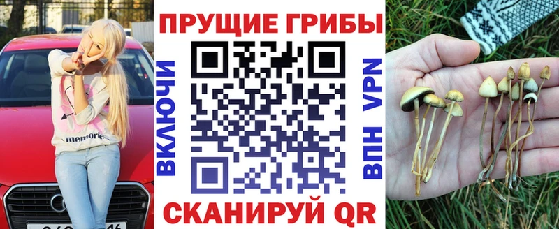 Галлюциногенные грибы Magic Shrooms  Таруса 